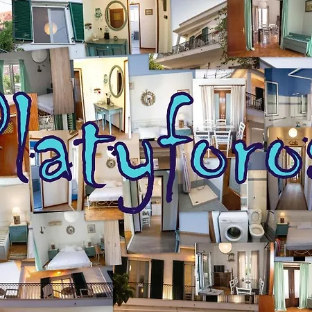 Platyforos, In Of * Città di Zante