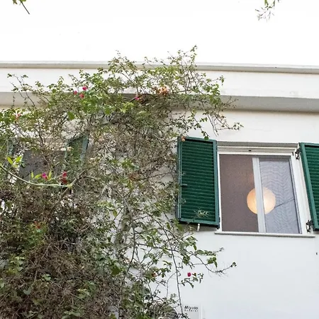 Platyforos, In Of Apartamento Zakynthos