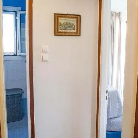 Platyforos, In Of * Zakynthos