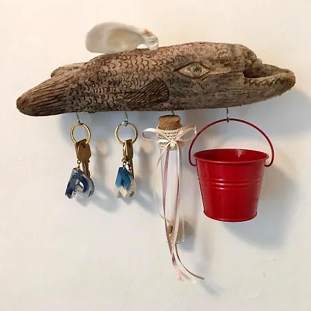 Platyforos, In Of Apartamento